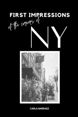 First Impressions of the Corners of New York - Carla Barraez