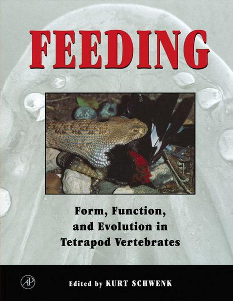 Feeding - 