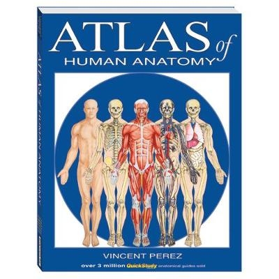 Atlas Of Human Anatomy - Vincent Perez