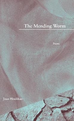 The Mending Worm - Joan Houlihan