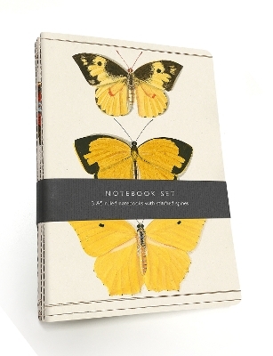 Butterfly Notebook Set