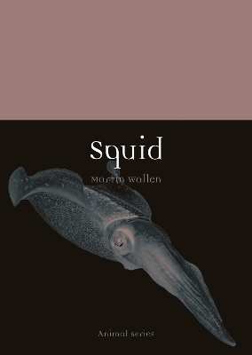 Squid - Martin Wallen