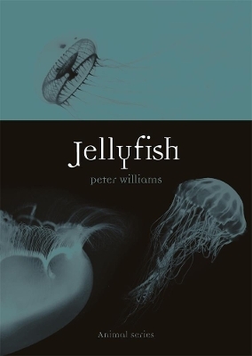 Jellyfish - Peter Williams