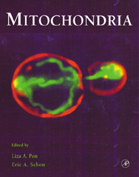 Mitochondria - 