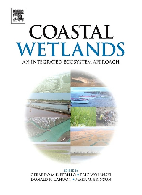 Coastal Wetlands - 