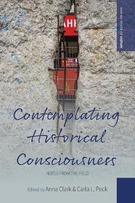 Contemplating Historical Consciousness - 