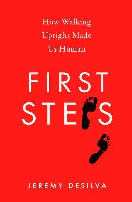 First Steps - Jeremy DeSilva