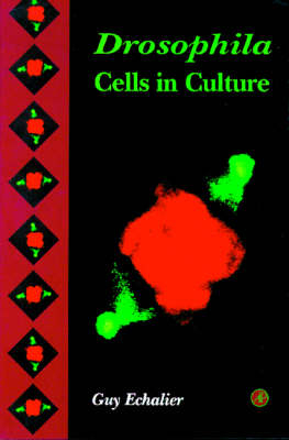 Drosophila Cells in Culture -  Guy Echalier