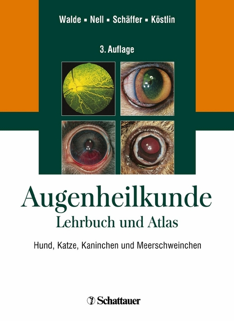 Augenheilkunde - 