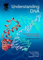 Understanding DNA -  Chris R. Calladine,  Horace Drew,  Ben Luisi,  Andrew Travers