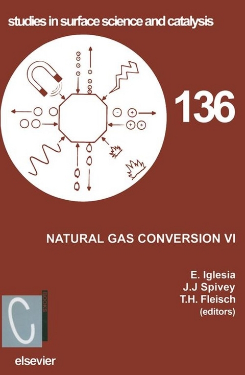 Natural Gas Conversion VI - 