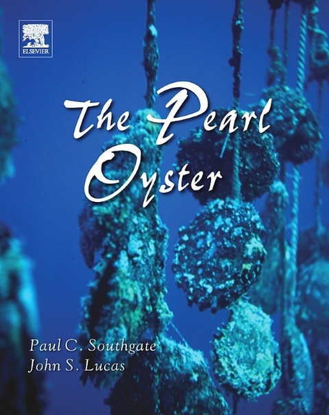 Pearl Oyster - 