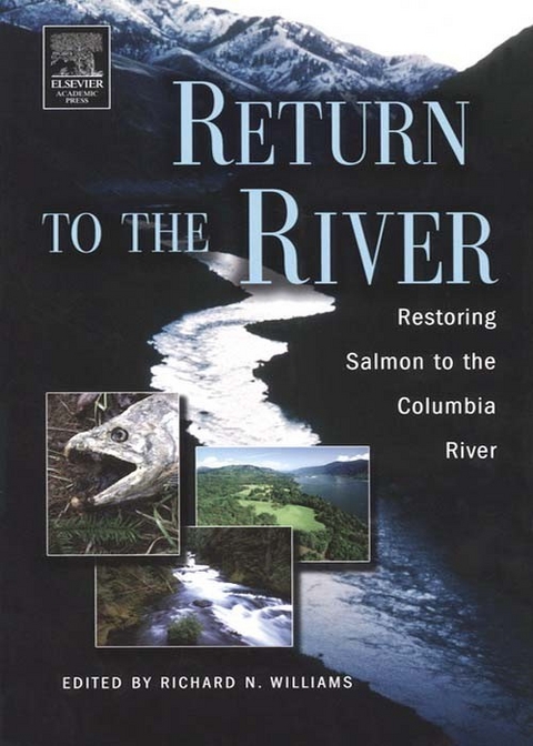 Return to the River - 