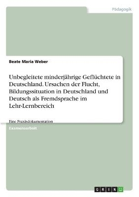 Unbegleitete minderjÃ¤hrige GeflÃ¼chtete in Deutschland. Ursachen der Flucht, Bildungssituation in Deutschland und Deutsch als Fremdsprache im Lehr-Lernbereich - Beate Maria Weber