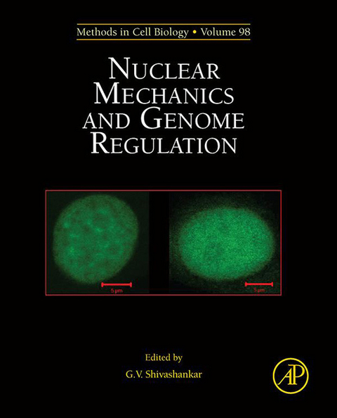 Nuclear Mechanics and Genome Regulation - 