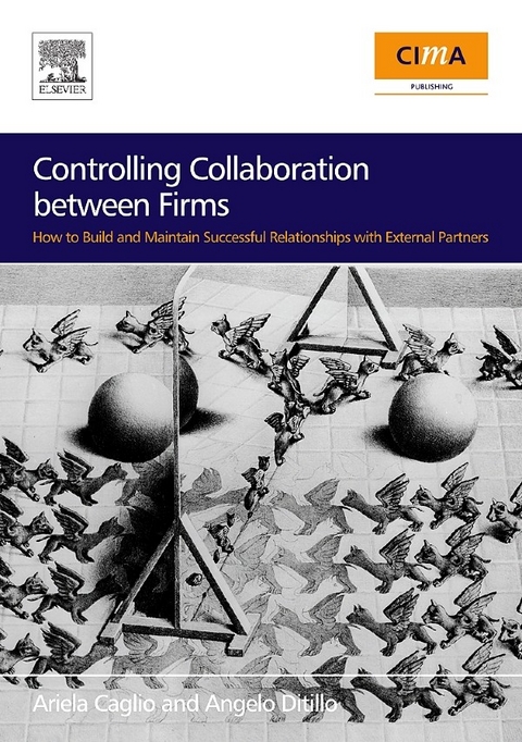 Controlling Collaboration between Firms -  Ariela Caglio,  Angelo Ditillo