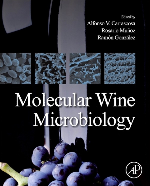 Molecular Wine Microbiology - 