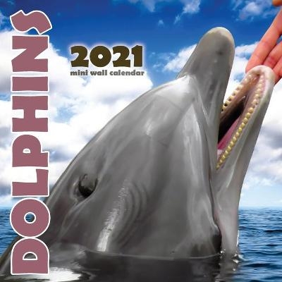 Dolphins 2021 Mini Wall Calendar -  Wall Publishing