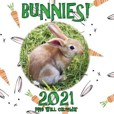 Bunnies! 2021 Mini Wall Calendar -  Sea Wall