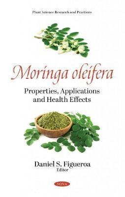 Moringa oleifera - 