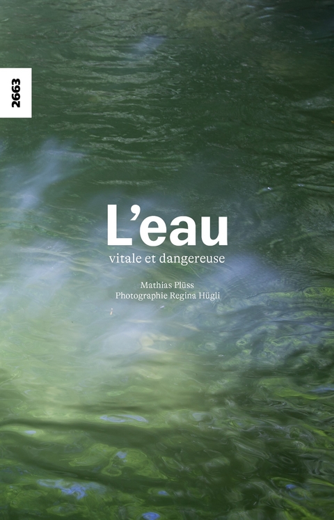 L'eau - vitale et dangereuse - Mathias Plüss