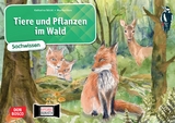 Tiere und Pflanzen im Wald. Kamishibai Bildkartenset - Katharina Stöckl-Bauer