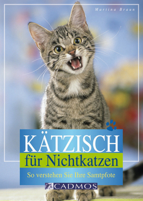 Kätzisch für Nichtkatzen - Martina Braun