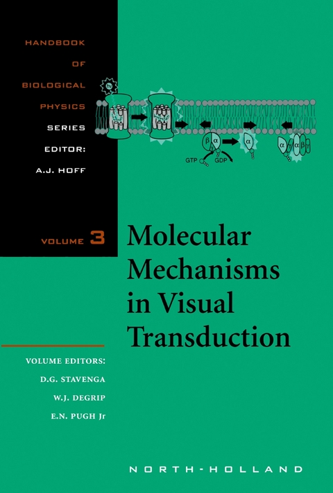 Molecular Mechanisms in Visual Transduction - 