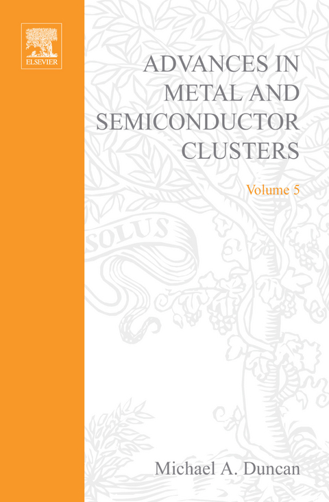 Advances in Metal and Semiconductor Clusters -  M.A. Duncan