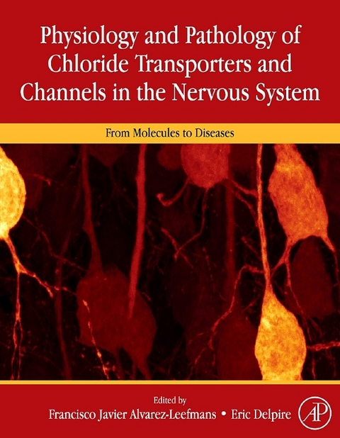 Physiology and Pathology of Chloride Transporters and Channels in the Nervous System - 