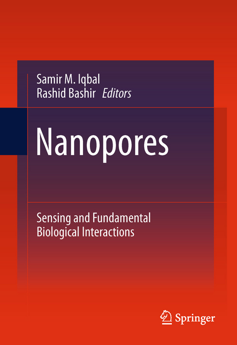 Nanopores - 