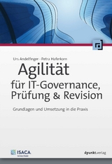 Agilität für IT-Governance, Prüfung & Revision - Urs Andelfinger, Petra Haferkorn