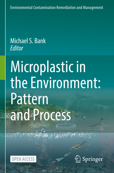 Microplastic in the Environment: Pattern and Process - 