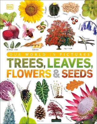 Our World in Pictures: Trees, Leaves, Flowers & Seeds -  Dk