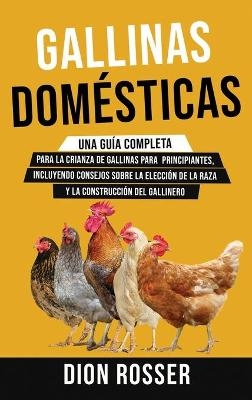 Gallinas domésticas - Dion Rosser