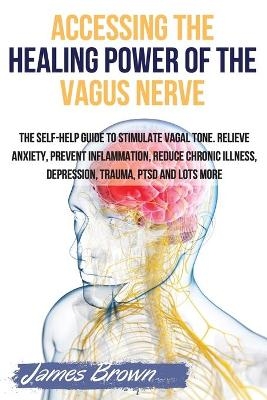 Accessing the Healing Power of the Vagus Nerve - James Brown