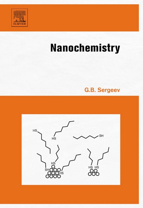 Nanochemistry -  Kenneth J. Klabunde,  Gleb B. Sergeev