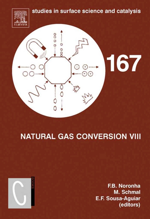 Natural Gas Conversion VIII - 