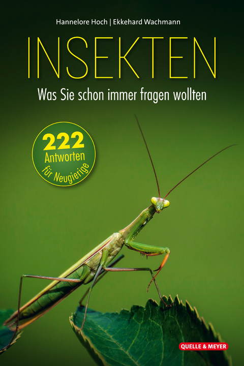 Insekten – Was Sie schon immer fragen wollten - Hannelore Hoch, Ekkehard Wachmann