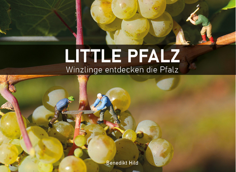 Little Pfalz - 