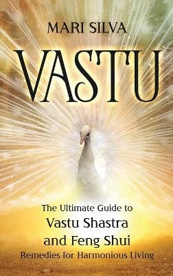 Vastu - Mari Silva