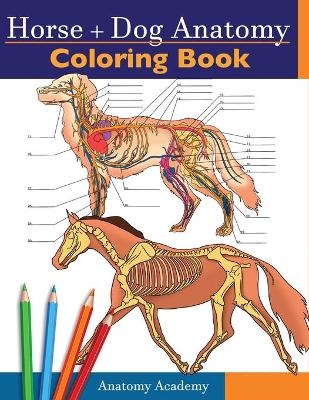 Horse + Dog Anatomy Coloring Book - Anatomy Academy