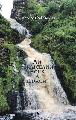 An Craiceann agus a Luach - Eithne Ni Ghallchobhair