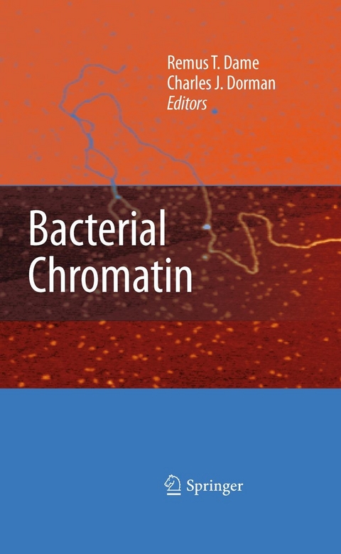 Bacterial Chromatin - 