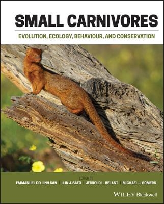 Small Carnivores - Emmanuel Do Linh San, Jun J. Sato, Jerrold L. Belant, Michael J. Somers