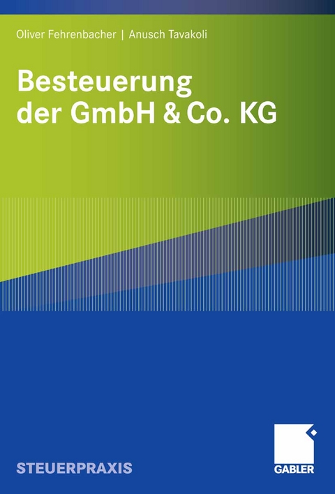 Besteuerung der GmbH & Co. KG - Oliver Fehrenbacher, Anusch Tavakoli