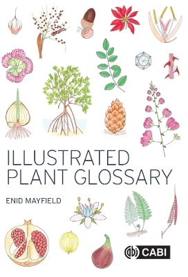 Illustrated Plant Glossary - Enid Mayfield