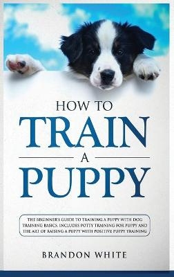 How to Train a Puppy - Brandon White