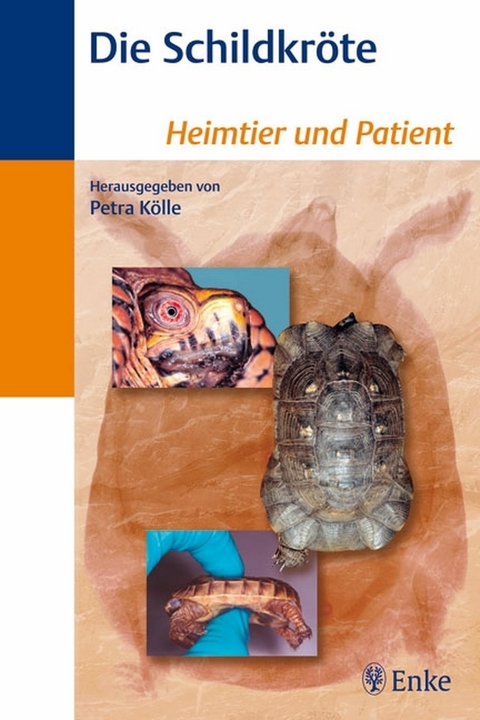 Die Schildkröte - Petra Kölle