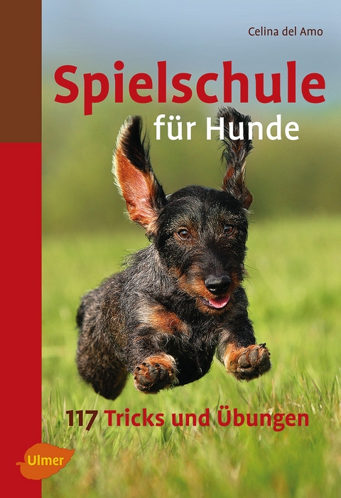 Spielschule für Hunde - Celina Del Amo